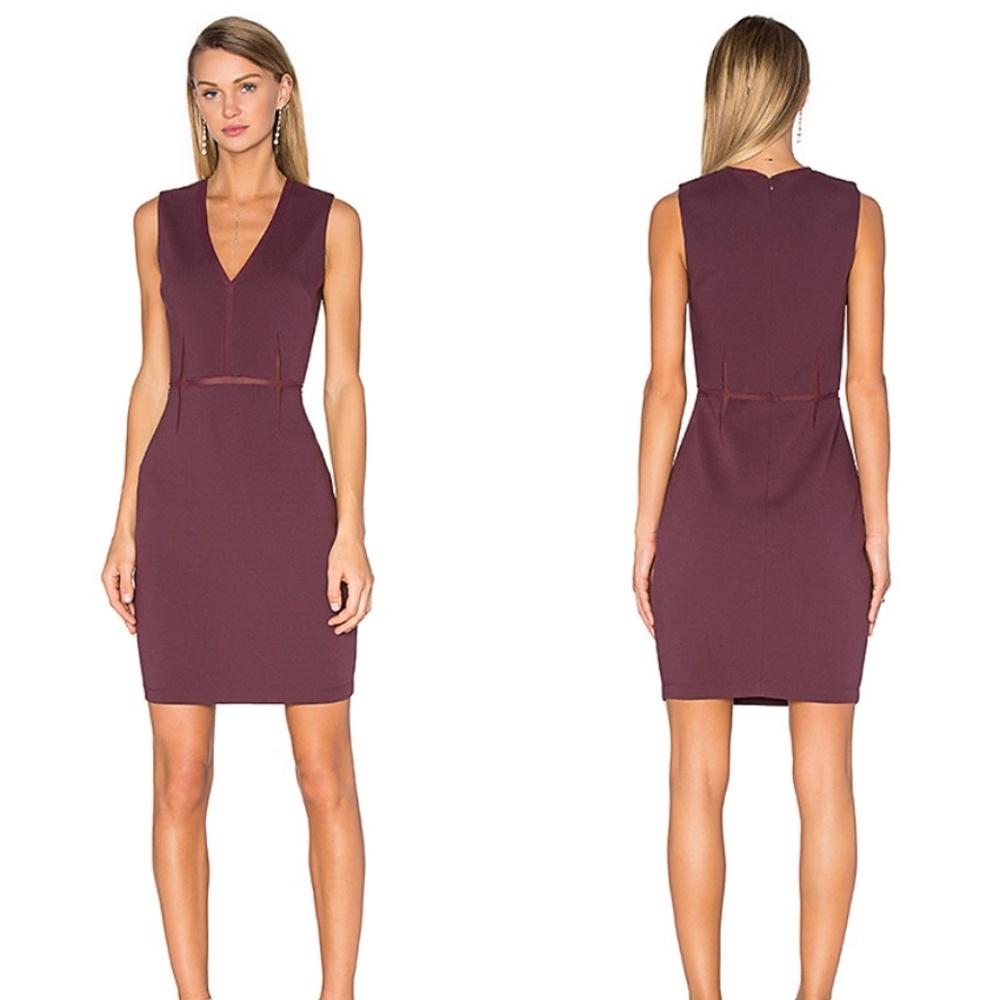Bailey 44 | Plum V-neck Mesh Dress